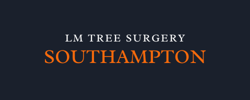 LM Tree Surgery Southampton